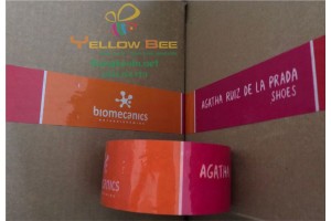 026 - BK Biomecanics